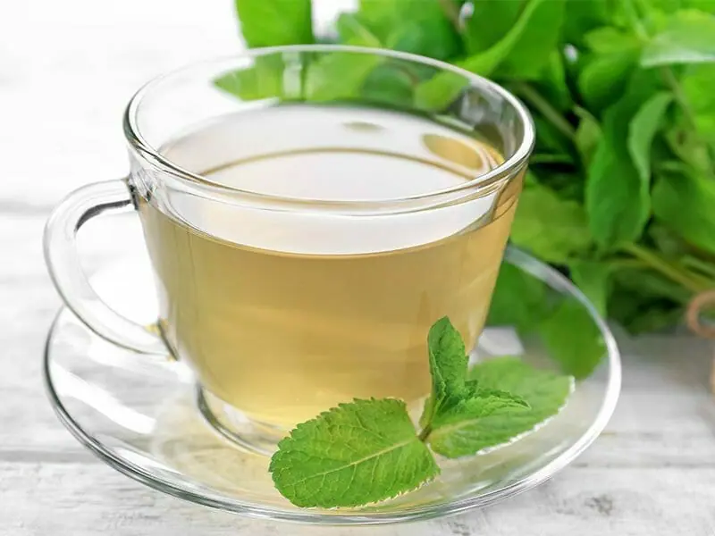 Infusion Menthe – Maté Vert – Citronnelle